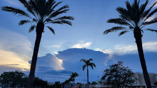 Shopping Mall «Diplomat Mall Shopping Center», reviews and photos, 1725 E Hallandale Beach Blvd, Hallandale Beach, FL 33009, USA