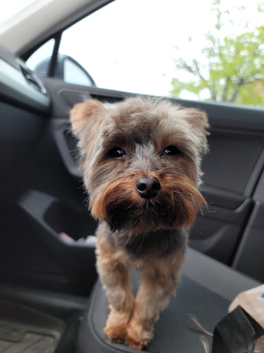 Pet Supply Store «PetSmart», reviews and photos, 777 S Willow St, Manchester, NH 03103, USA