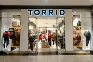 Torrid image