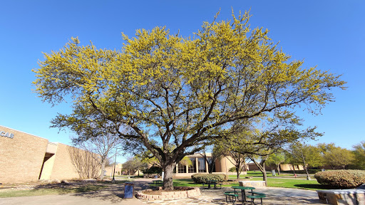 Community college Grand Prairie