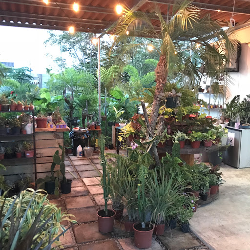 Tropical Gardens Panama