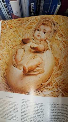 Used Book Store «Dawn Treader Book Shop», reviews and photos, 514 E Liberty St, Ann Arbor, MI 48104, USA