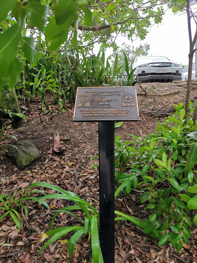 Harper koala memorial
