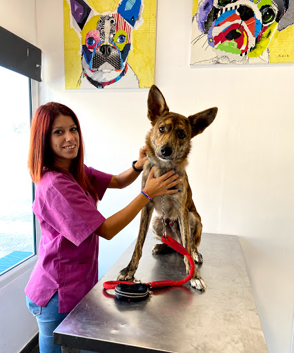 Vet&pet's Clínica Veterinaria en Roquetas de Mar