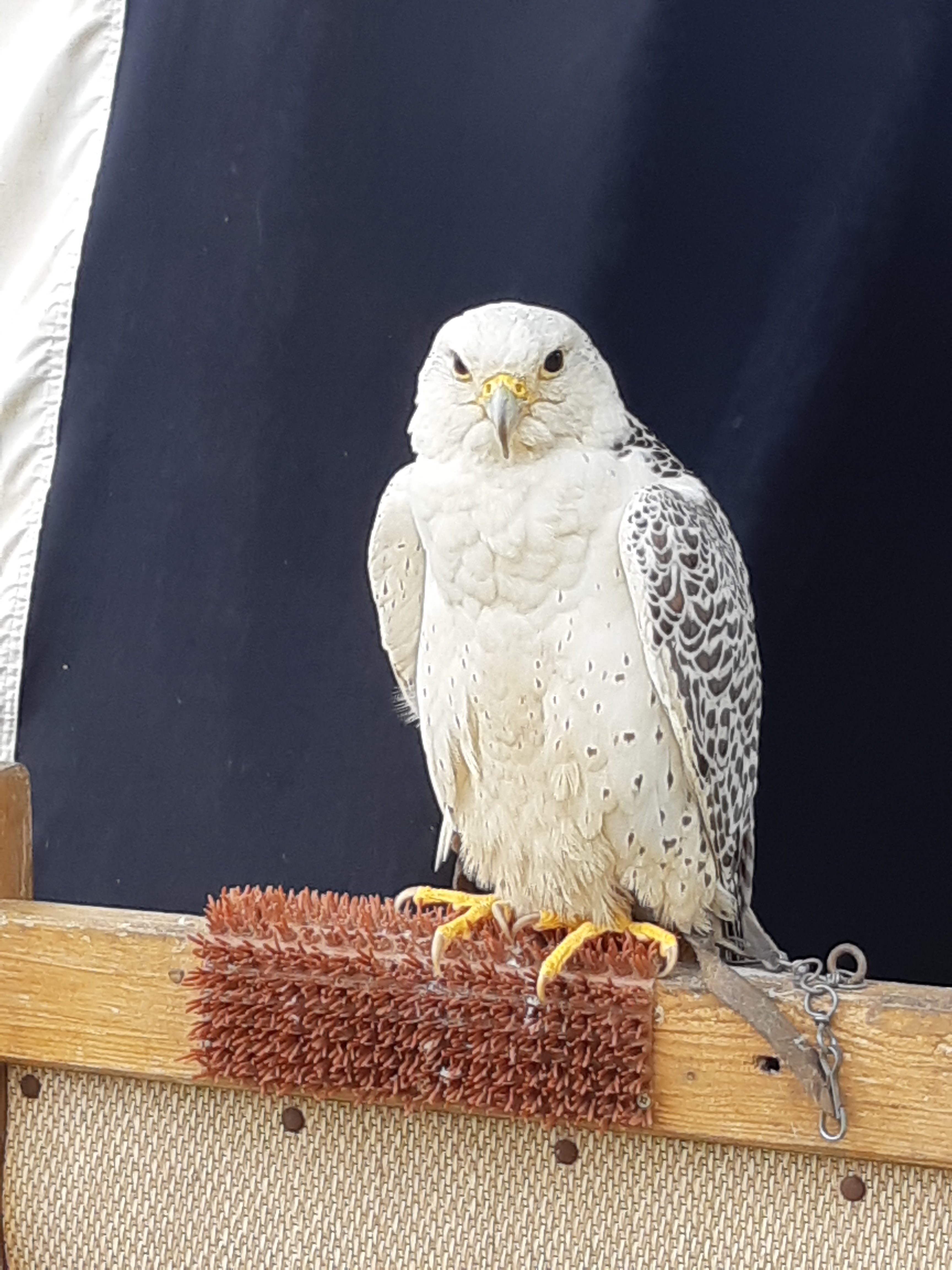 Photo n° 6 de l'avis de Jean-Luc.e fait le 25/07/2019 à 17:52