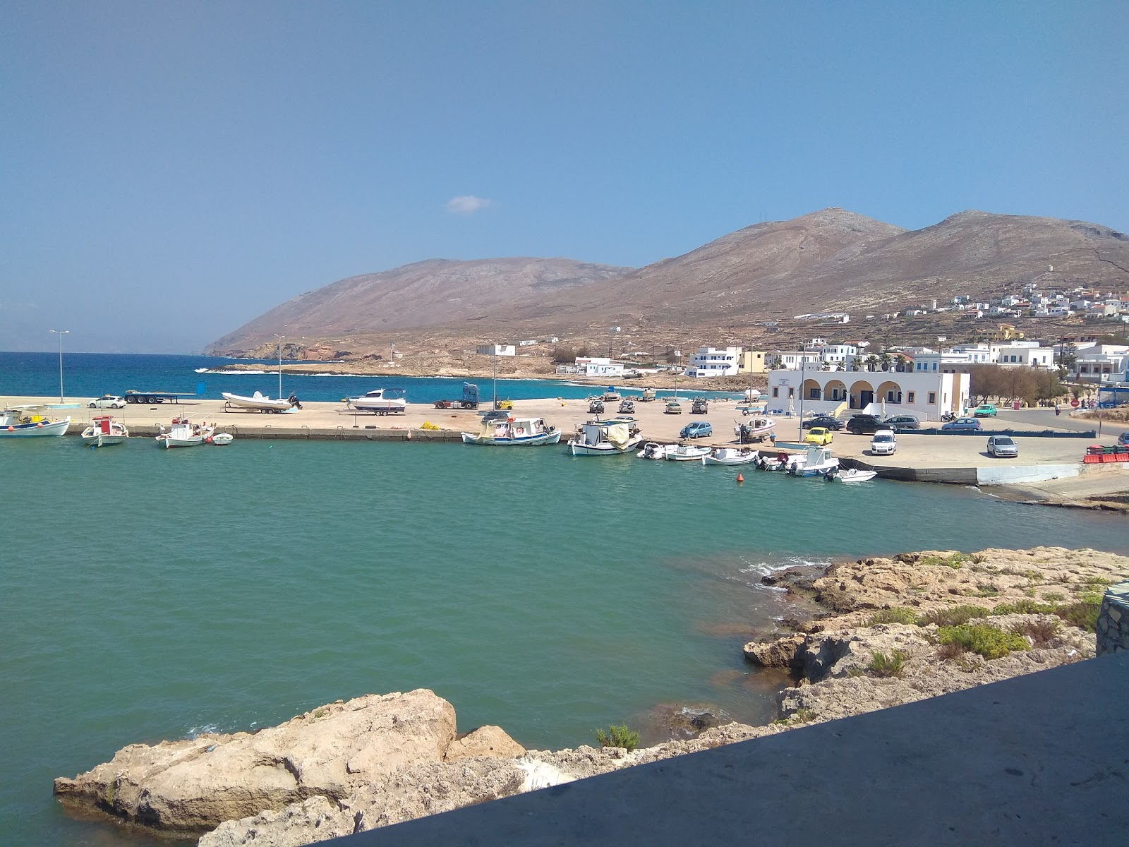 Paralia Fry photo #8