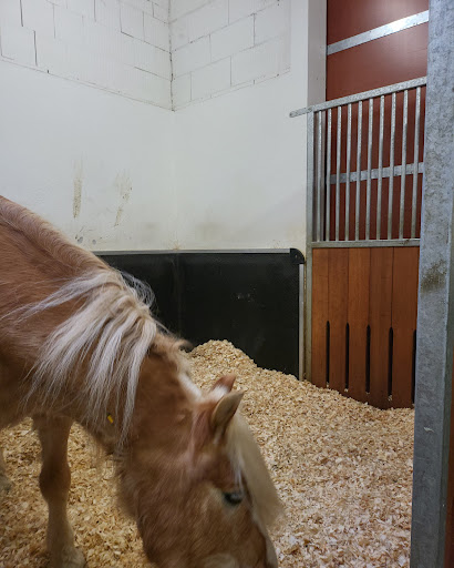Tierklinik Hattersheim für Pferde unter Hattersheim am Main, 