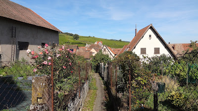 Earl Jean-Marie Et Herve Sohler à Blienschwiller