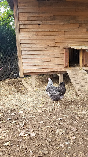 Park «Cromwell Valley Park», reviews and photos, 2002 Cromwell Bridge Rd, Parkville, MD 21234, USA