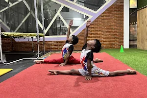Hyflyers Gymnastics academy image