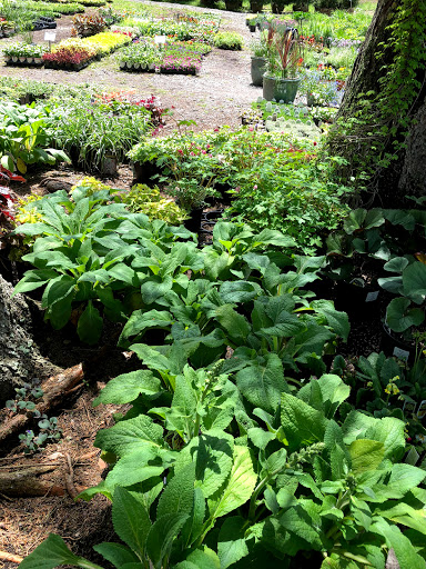 Garden Center «Stonewall Garden Center», reviews and photos, 4675 PA-447, Canadensis, PA 18325, USA