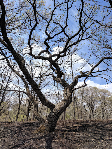 Nature Preserve «St. Croix Savanna Scientific and Natural Area (SNA)», reviews and photos, Osprey Blvd, Bayport, MN 55003, USA