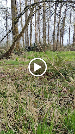 Post Office «United States Postal Service», reviews and photos, 525 N 1st St, Woodburn, OR 97071, USA