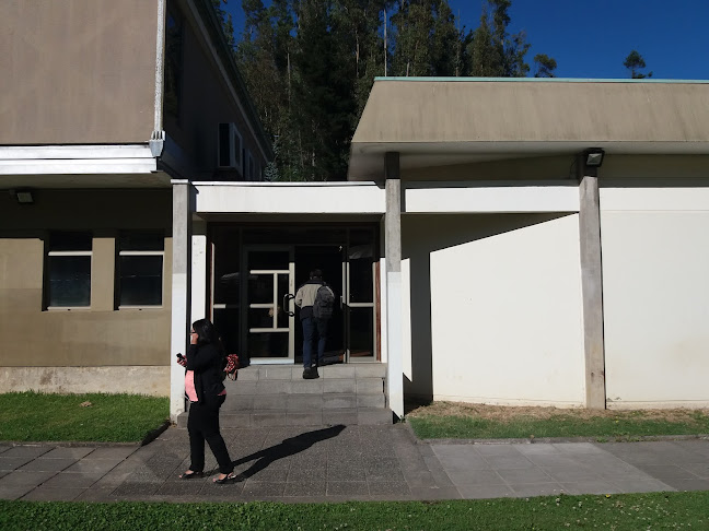 http://www.forestal.udec.cl/