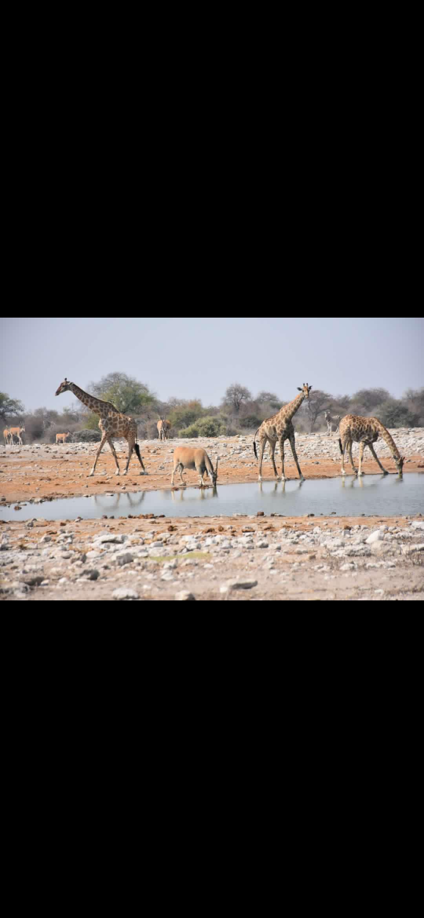 Photo n° 6 de l'avis de David.e fait le 21/03/2024 à 10:03