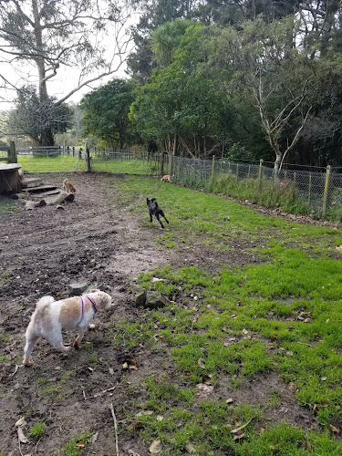 Reviews of Woodcote Farms Boarding Kennels & Cattery in Auckland - Dog trainer