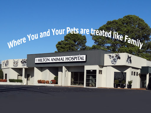 Hilton Animal Hospital