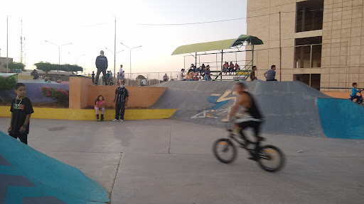 Pista De Skate