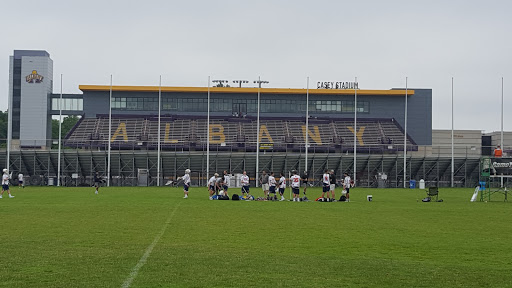 Stadium «Bob Ford Field At Tom & Mary Casey Stadium», reviews and photos, 1400 Washington Avenue, Albany, NY 12222, USA