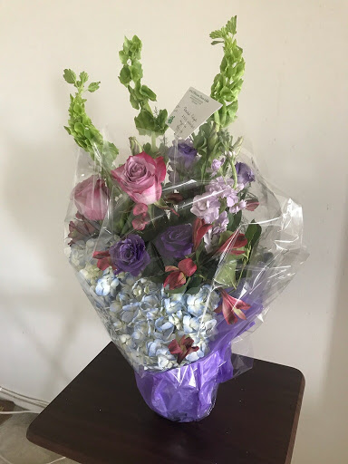 Plant Nursery «A & S Whitestone Nursery», reviews and photos, 2302 Francis Lewis Blvd, Whitestone, NY 11357, USA