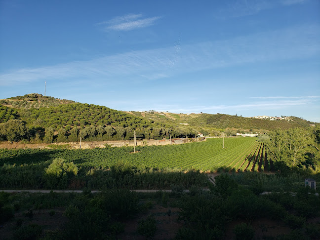 Quinta de D. Carlos - Empresa de organização de eventos