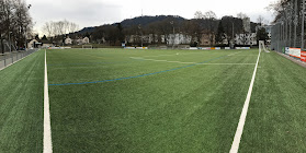 Kunstrasen Sportamt Zürich