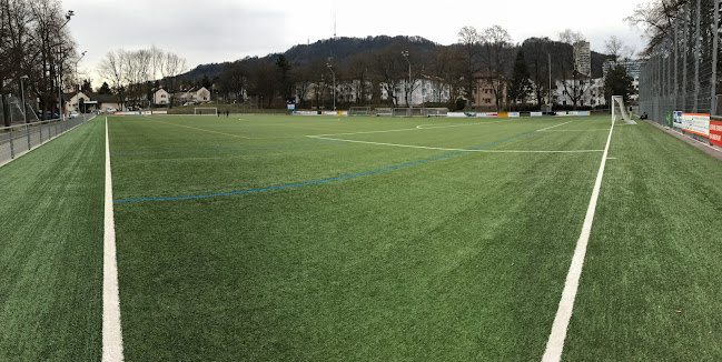 Kunstrasen Sportamt Zürich