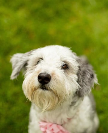 Cremation Service «Lasting Tributes Cremation and Funeral Care», reviews and photos, 814 Bestgate Rd, Annapolis, MD 21401, USA