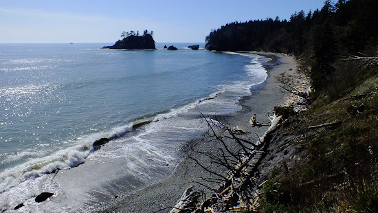 Mosquito Creek Beach