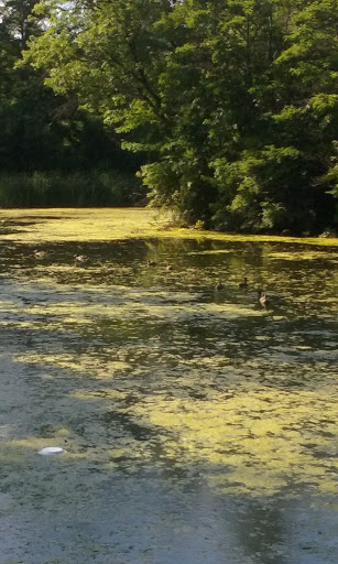 Golf Course «Keney Park Golf Course», reviews and photos, 171 Windsor Ave, Windsor, CT 06095, USA