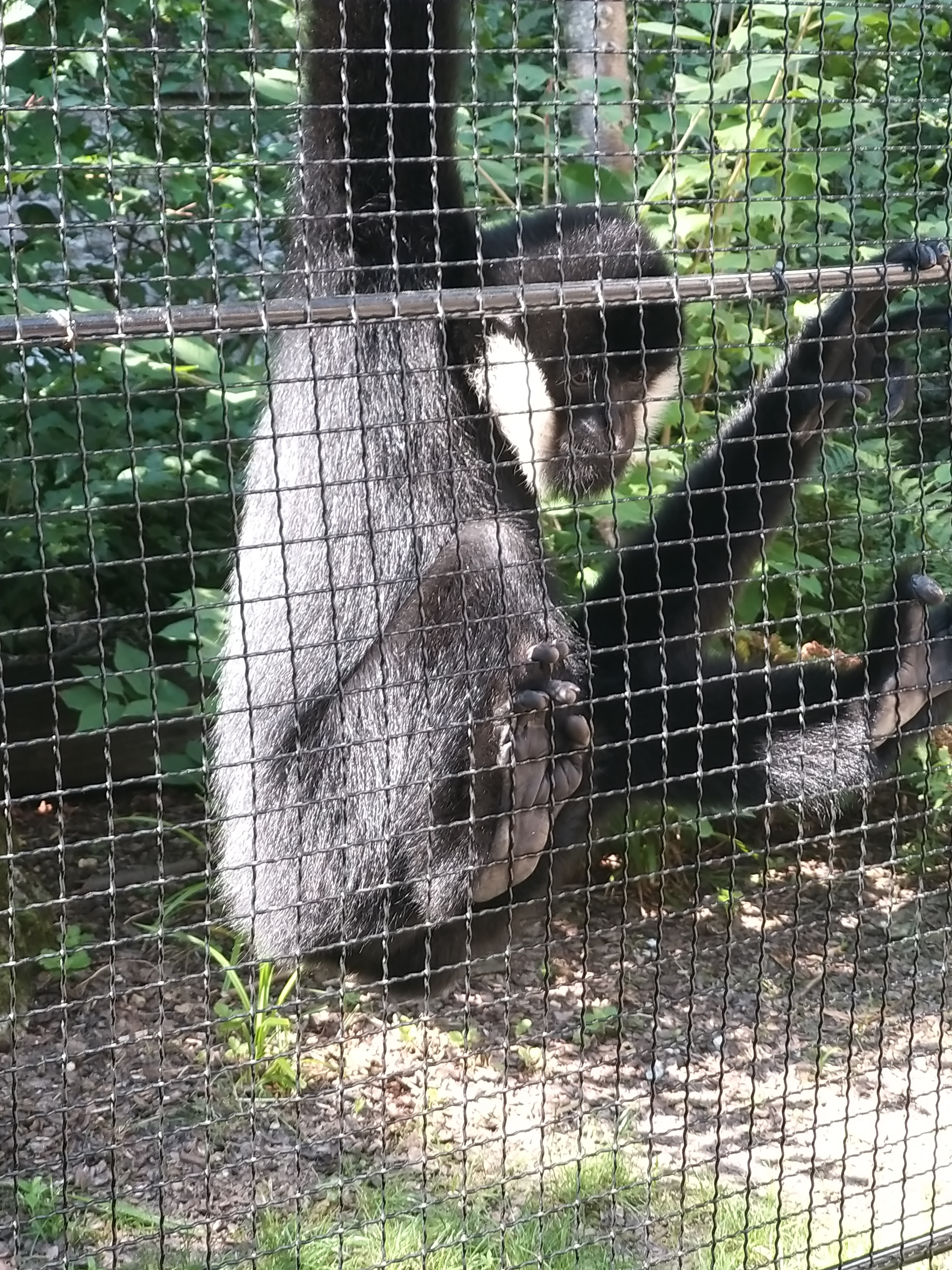 Photo n° 8 de l'avis de Angelique.a fait le 25/08/2019 à 15:14