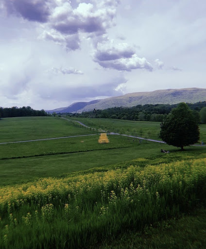 Art Center «Storm King Art Center», reviews and photos, 1 Museum Rd, New Windsor, NY 12553, USA