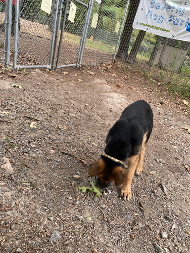 Dog Park «Beverly Dog Park», reviews and photos, L P Henderson Rd, Beverly, MA 01915, USA