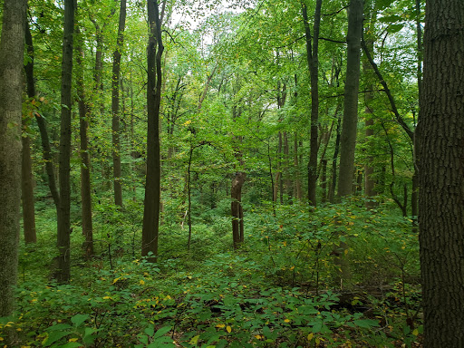 Nature Preserve «Wildlands Conservancy South Mountain Preserve», reviews and photos, Alpine St, Emmaus, PA 18049, USA