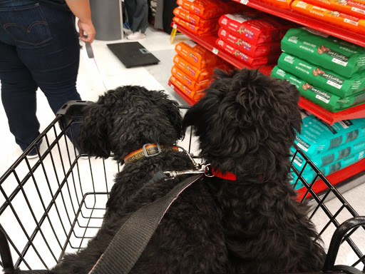 Pet Supply Store «Petco Animal Supplies», reviews and photos, 6280 S Westnedge Ave, Portage, MI 49002, USA