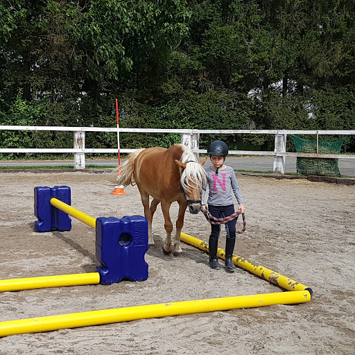 Reiten mit Achtsamkeit Angelika Rose