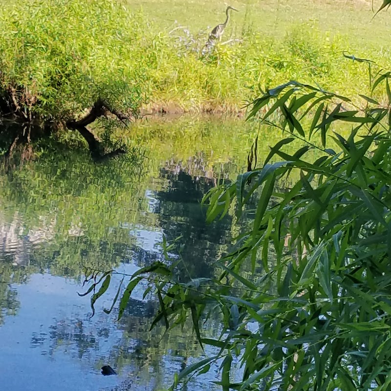 Stevens Park Pond