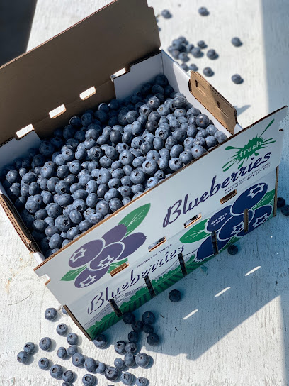 Lucile's Blueberries