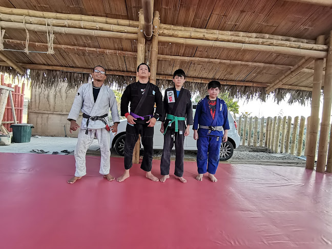 Comentarios y opiniones de MateOss Brazilian Jiu-Jitsu