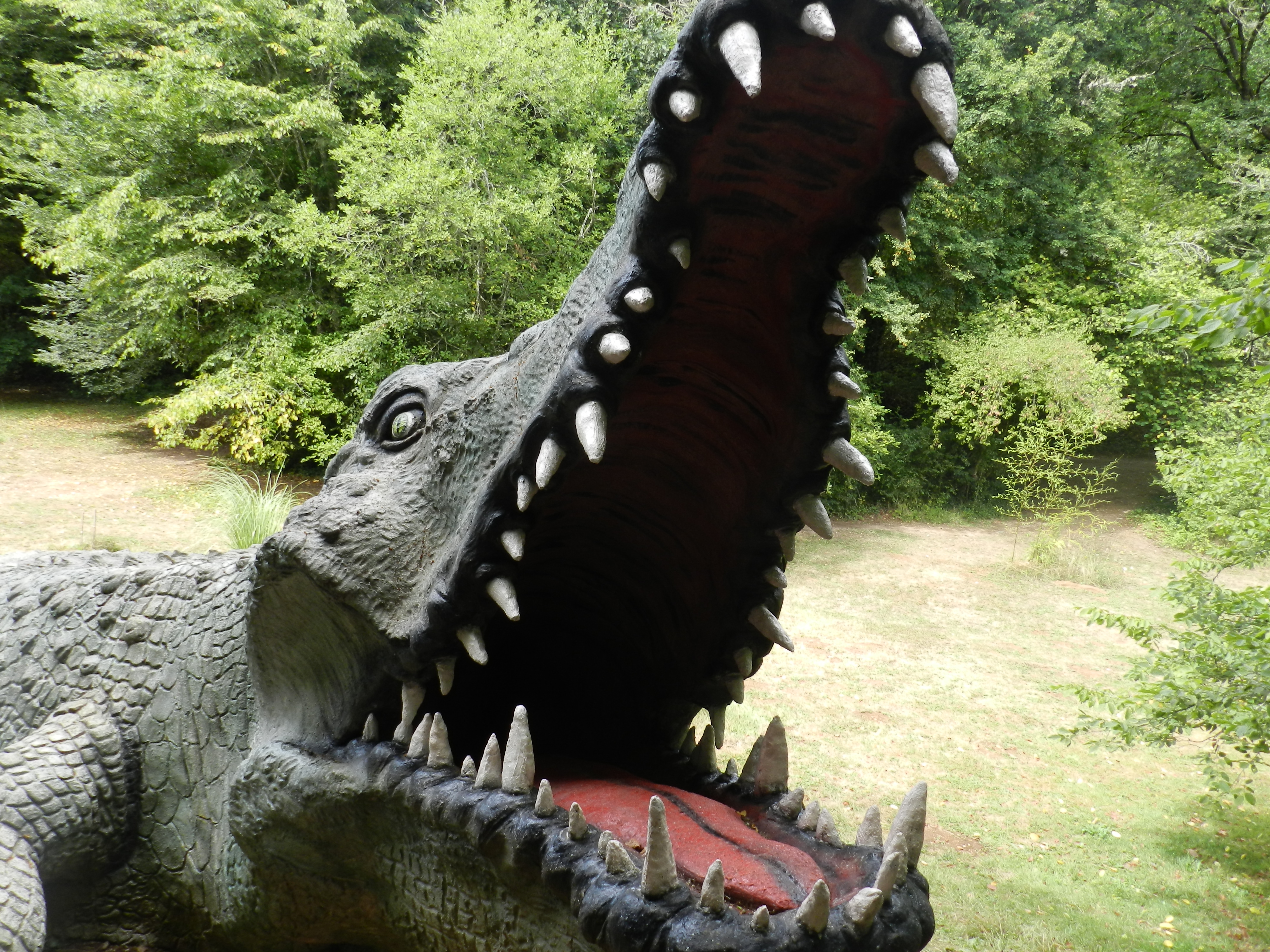 Photo n° 5 de l'avis de Jays. fait le 17/04/2019 à 06:40