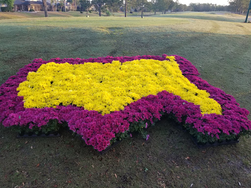 Public Golf Course «Summerfield Crossings Golf Club», reviews and photos, 13050 Summerfield Blvd, Riverview, FL 33579, USA