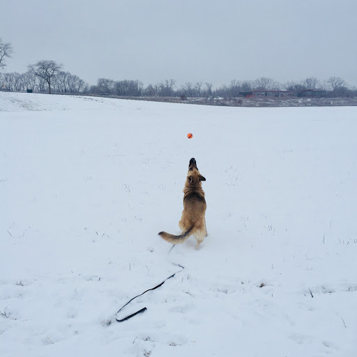 Pet Supply Store «theDogWorks/cats2», reviews and photos, 195 Thurman Ave, Columbus, OH 43206, USA