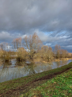 Pont de Thoissey à Dracé