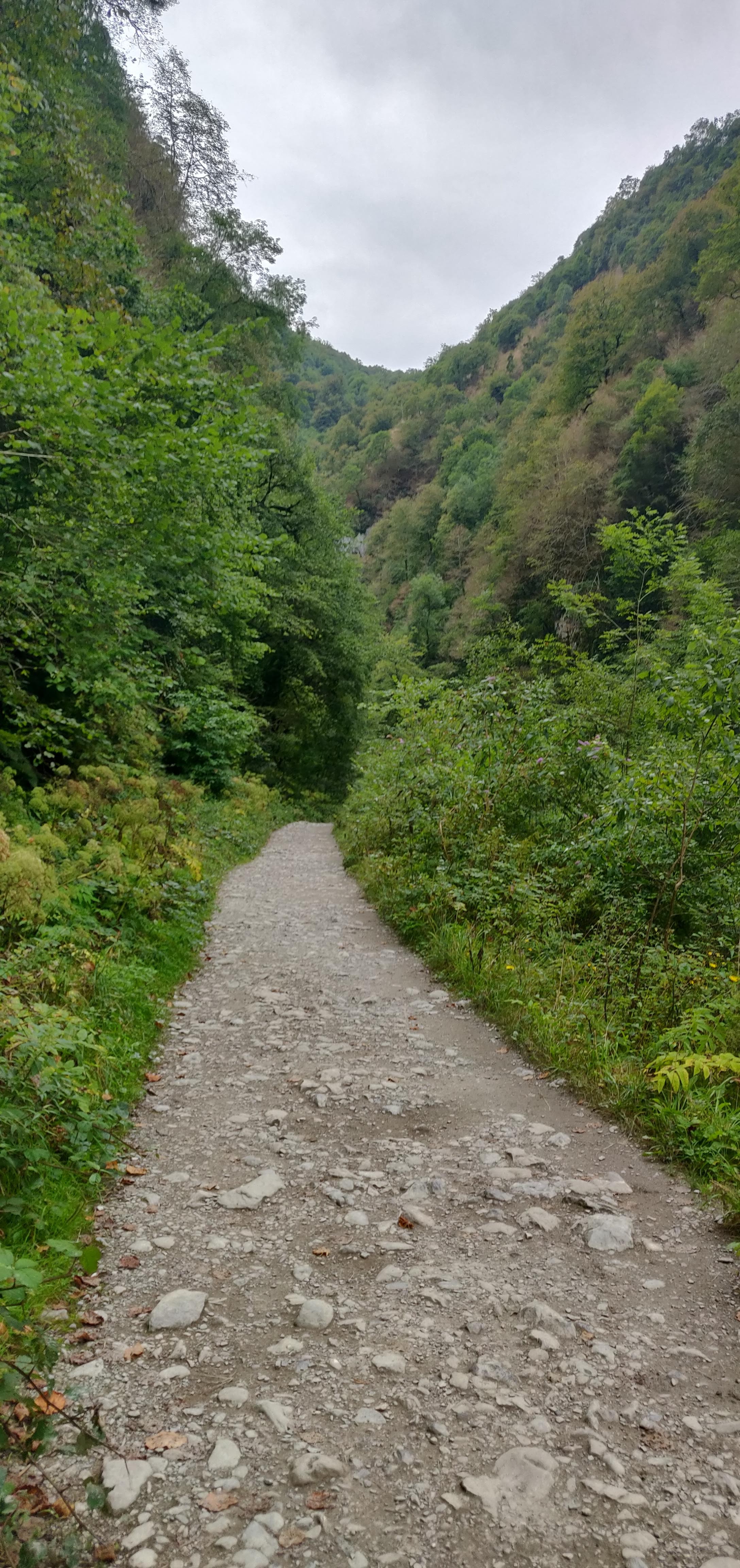 Photo n° 29 de l'avis de Jis.e fait le 27/08/2019 à 11:57