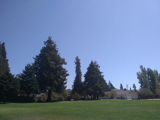 Park «Cedar Rose Park», reviews and photos, 1300 Rose St, Berkeley, CA 94702, USA