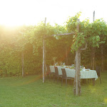 Photo n°6 de l'avis de Paolo.o fait le 02/06/2018 à 11:32 sur le  Resort di Campagna - La Posa degli Agri à Isola dell'Abbà