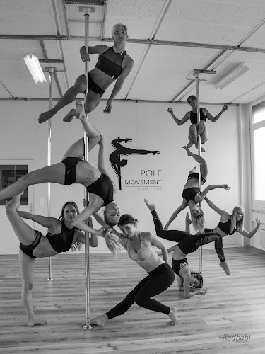 Rezensionen über Pole Movement Dance Studio in Bulle - Fitnessstudio