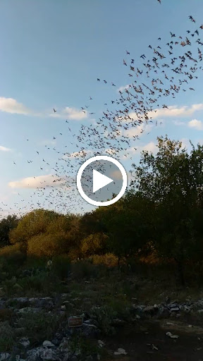 Nature Preserve «Bracken Cave Preserve (Bat Conservation International Inc Events)», reviews and photos, 26101 FM3009, San Antonio, TX 78266, USA