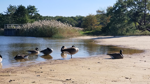 State Park «Cheesequake State Park», reviews and photos, 300 Gordon Rd, Matawan, NJ 07747, USA