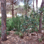 Photo n°17 de l'avis de Amedeo.i fait le 17/07/2022 à 14:22 sur le  Residence Abbaechelu à Pula